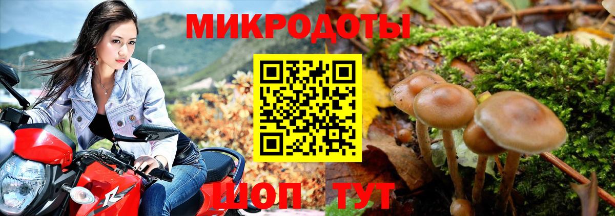 Южно-Сахалинск  дарнет шоп  Вход с VPN  Псилоцибиновые грибы Psilocybe 