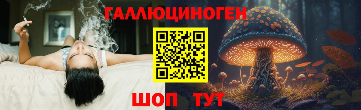 Псилоцибиновые грибы мухоморы Южно-Сахалинск